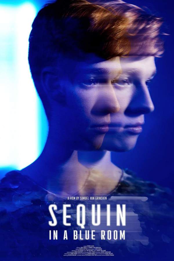While exploring his identity through anonymous encounters, Sequin discovers the mysterious Blue Room, a place where he becomes involved in a captivating game. An alluring stranger ignites an intense obsession within him, leading Sequin on a dangerous search to understand why they unexpectedly disappeared. He must confront unsettling truths and navigate a complex web of relationships in his pursuit.