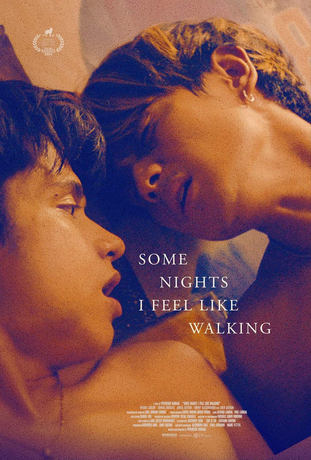 Some Nights I Feel Like Walking
