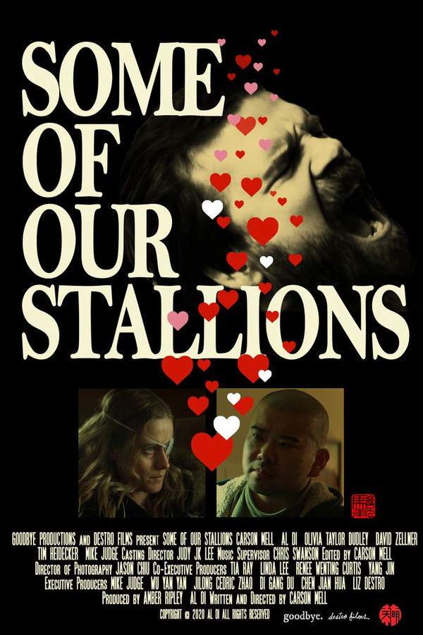 Some of Our Stallions