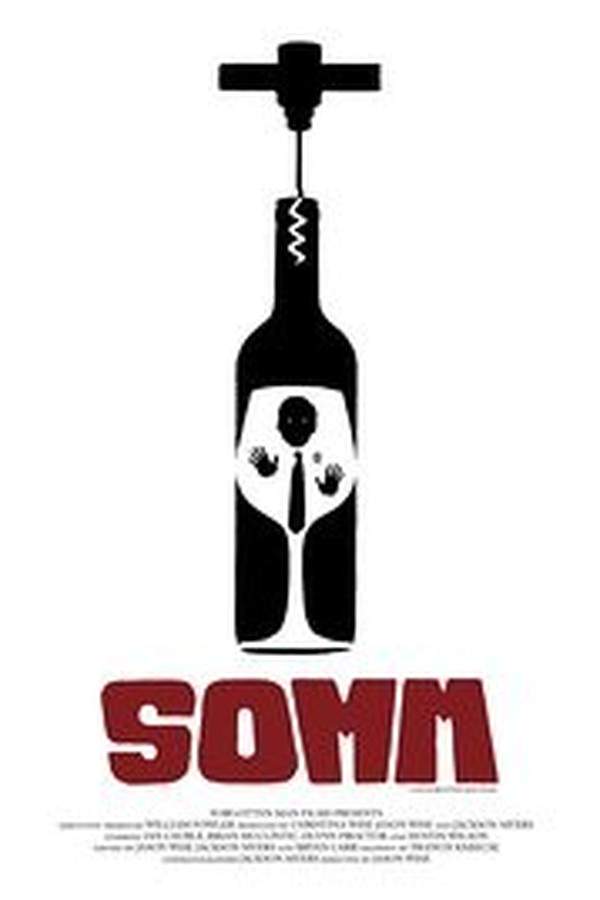 Four dedicated wine stewards strive for excellence as they prepare for the notoriously challenging Master Sommelier Exam. The demanding test, overseen by the Court of Master Sommeliers, requires an extensive knowledge of wine regions, grape varietals, and service techniques. The film follows their rigorous training and the personal sacrifices they make in pursuit of the highest honor in the world of fine wine.