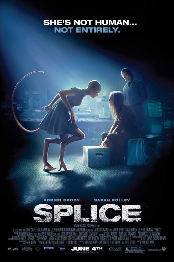Splice