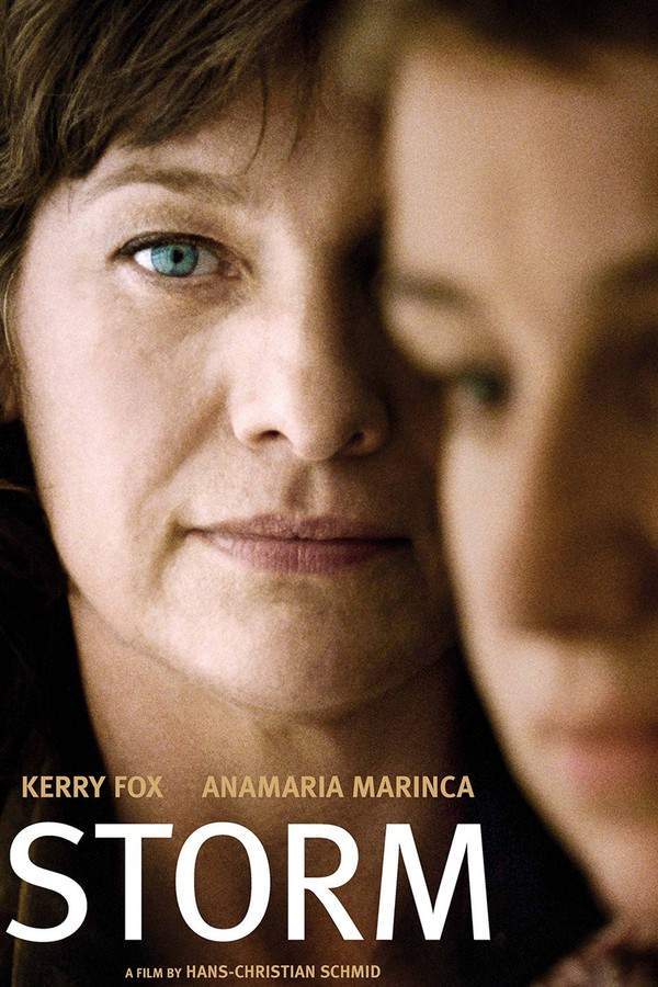 International prosecutor Hannah Maynard faces a critical challenge when a key witness in a war crimes trial unexpectedly dies. Determined to pursue justice, she travels to Sarajevo to investigate the circumstances surrounding the death and uncover concealed information. As she delves deeper, Hannah risks her career and safety to expose the truth and bring those responsible to account for the atrocities committed.