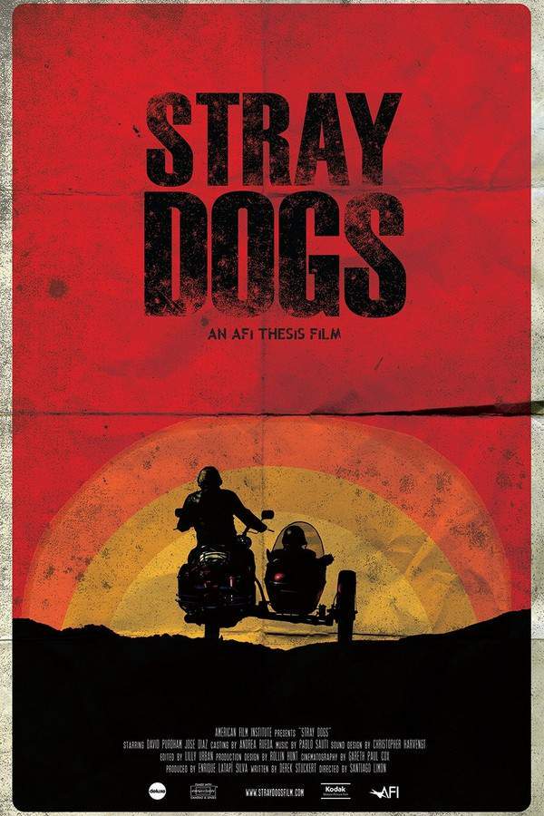 Stray Dogs