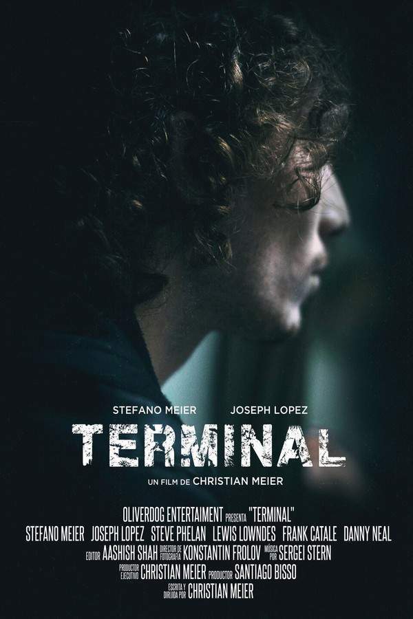 Terminal