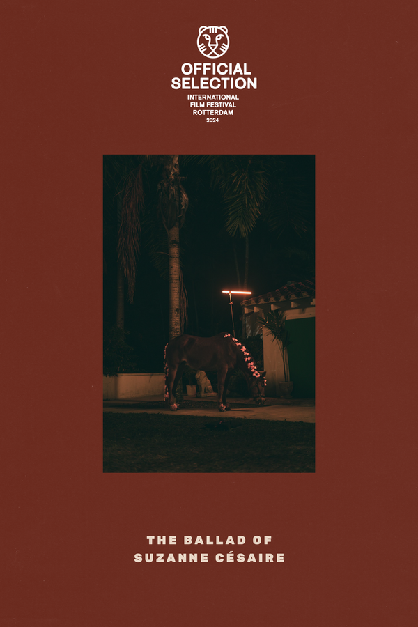 An actress and new mother is deeply affected as she prepares to portray surrealist writer Suzanne Roussi-Césaire. While filming in the tropical palm groves, a small group of filmmakers and actors explore the writer's early life and stage scenes depicting her experiences.