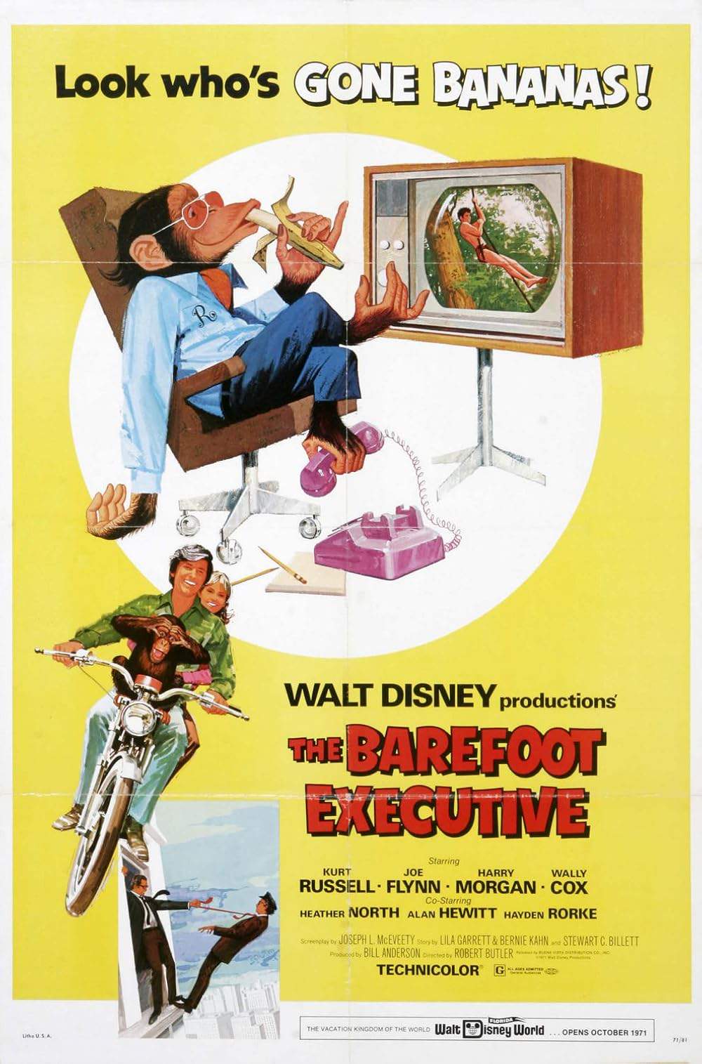 The Barefoot Executive