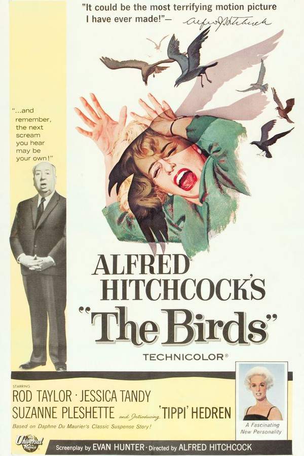 The Birds