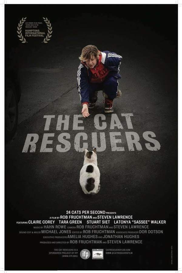 The Cat Rescuers