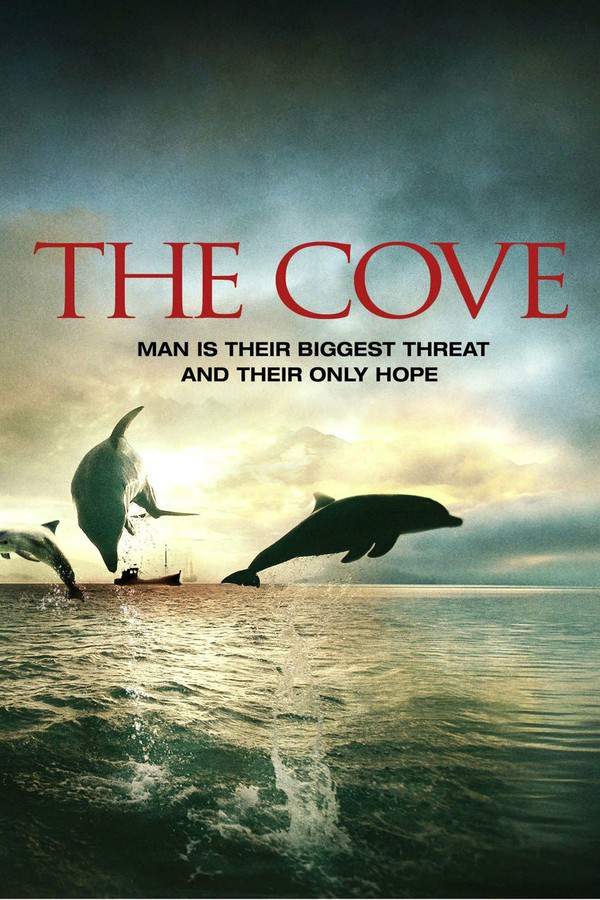 The Cove