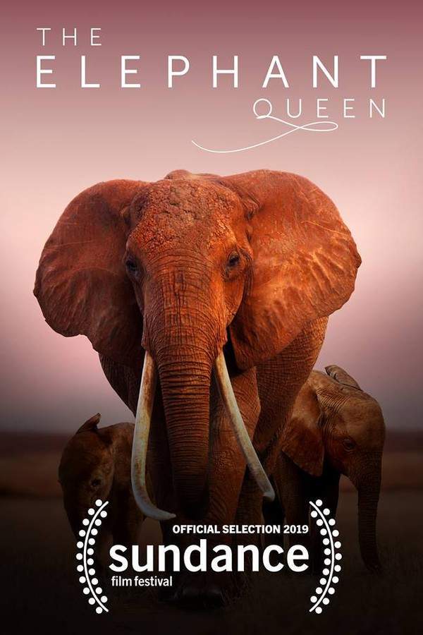 The Elephant Queen