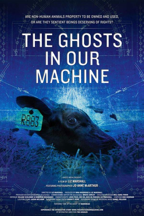 The Ghosts in Our Machine