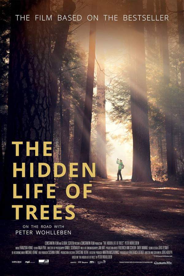 The Hidden Life of Trees