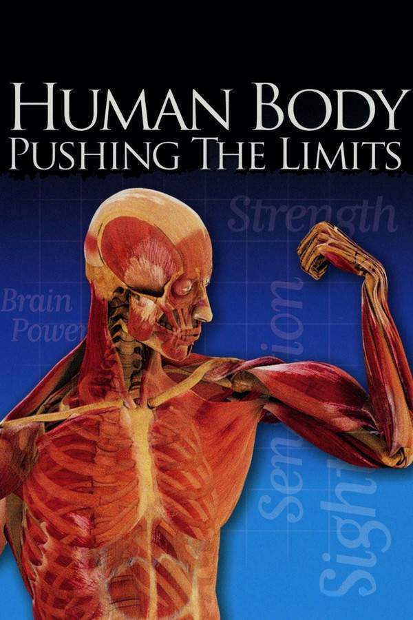 The Human Body