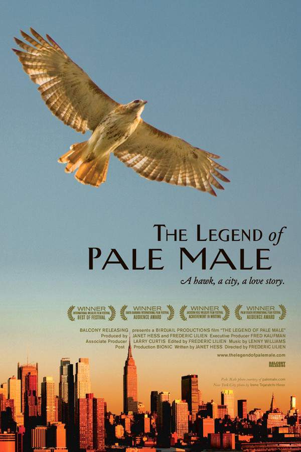 The Legend of Pale Male