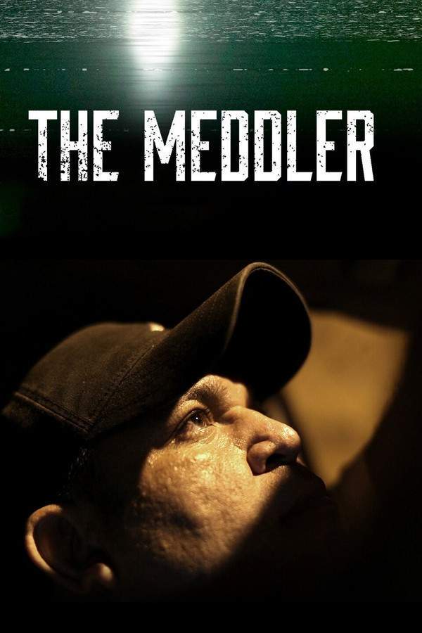 The Meddler