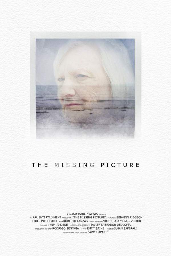 The Missing Picture