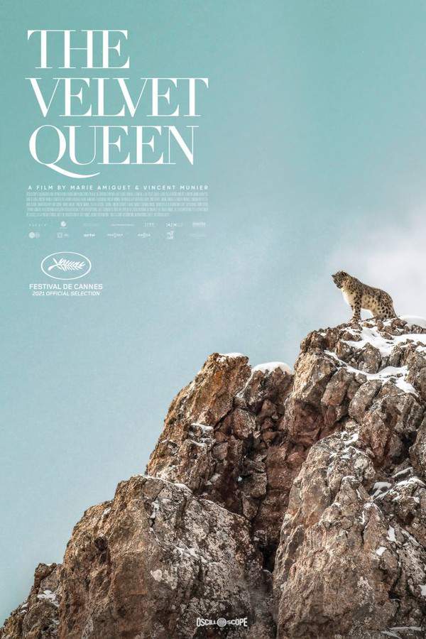 The Velvet Queen