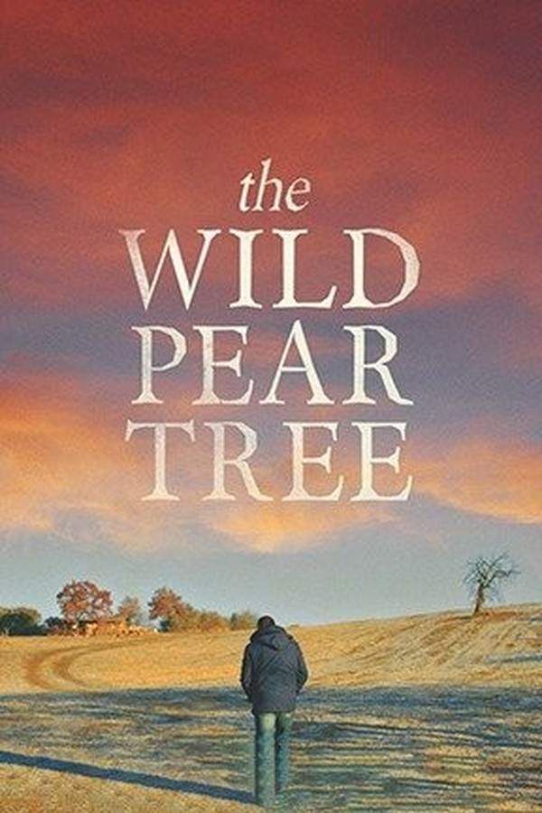 The Wild Pear Tree