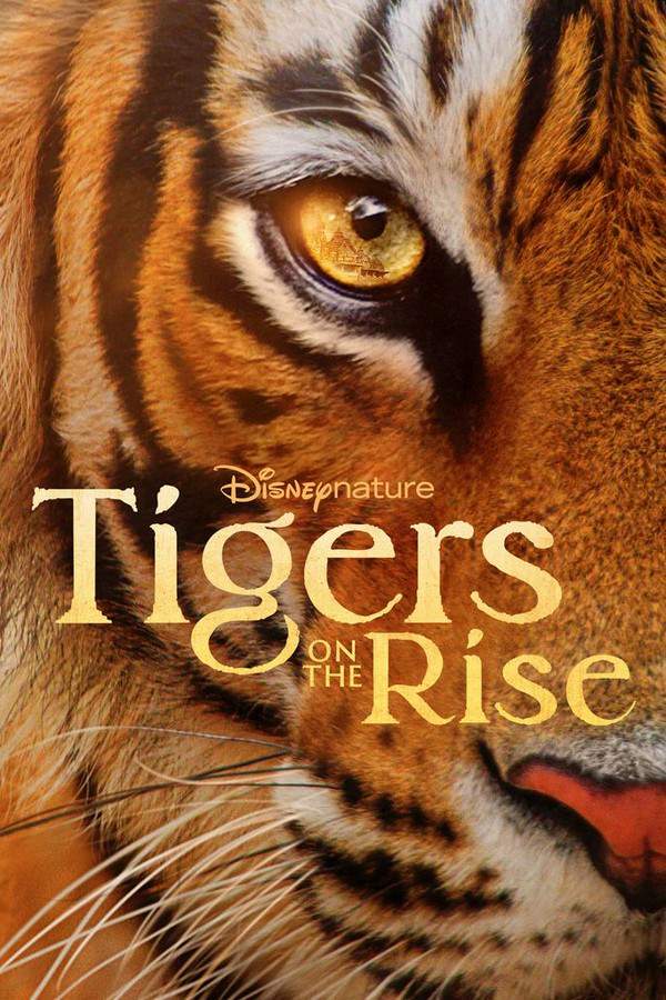 Narrated by Blair Underwood, this documentary follows the story of tigers returning to their territory, leaving the Indian forests and venturing into farmland and villages. The film explores the challenges and potential for balance between humans and these powerful predators as their future remains uncertain.
