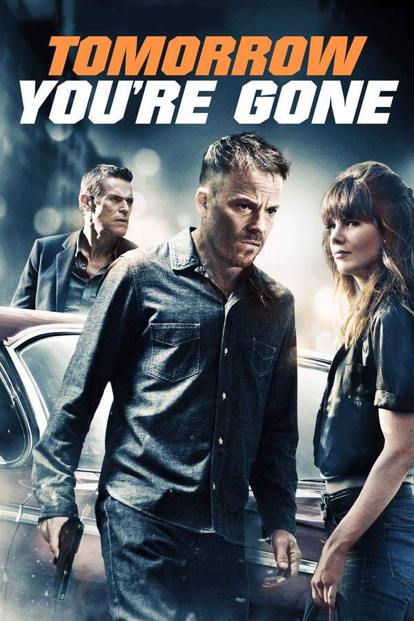 Seeking to outrun his past, a former convict is drawn into a dangerous situation when a planned assassination goes wrong. He must then navigate a perilous journey, aided by a mysterious woman. As he struggles to survive, the consequences of his actions become increasingly severe, and the distinction between justice and survival fades.