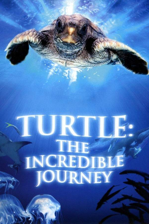 Turtle: The Incredible Journey