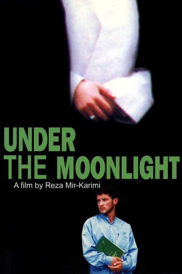 Under the Moonlight