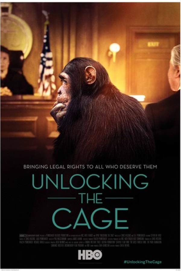 Unlocking the Cage