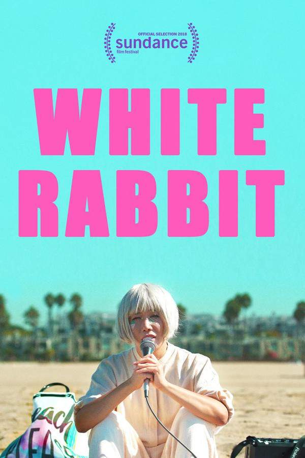 A high school student haunted by a traumatic childhood event finds himself increasingly disturbed by vivid visions of a rabbit he killed years ago. As the visions intensify, he struggles to distinguish reality from his imagination, leading to a terrifying descent where the line between fantasy and violent action blurs, threatening to consume him.