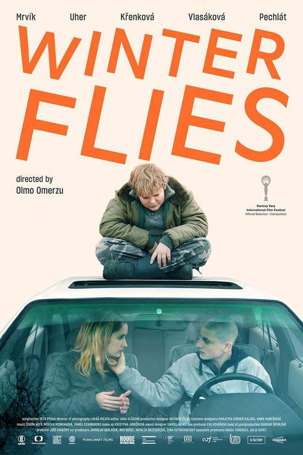 Winter Flies