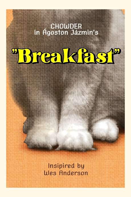 my cat’s breakfast routine breakfast time with my cat.