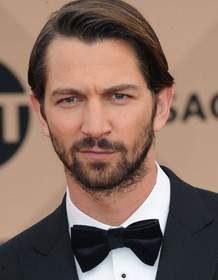 Michiel Huisman
